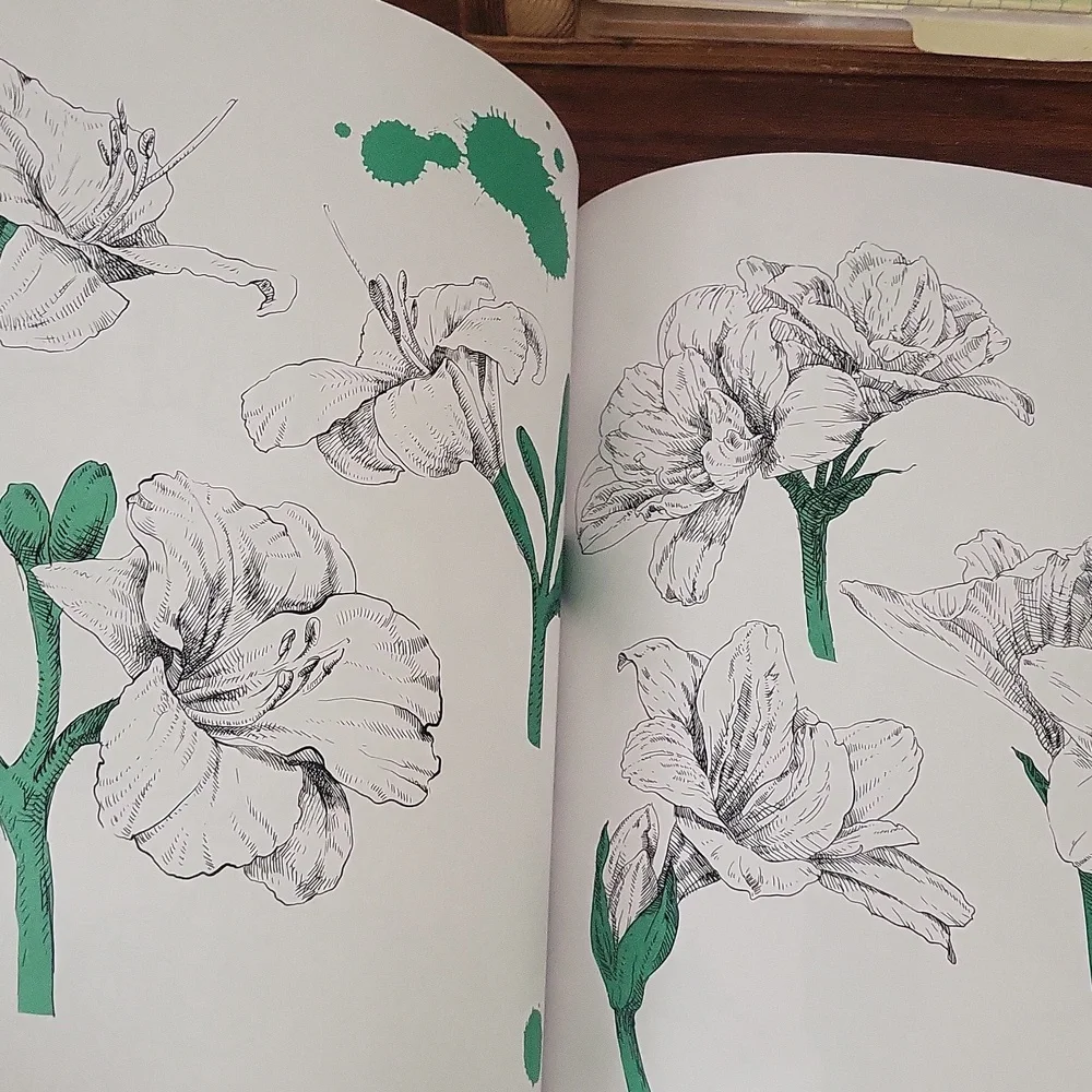 NWT Adult Coloring Book
